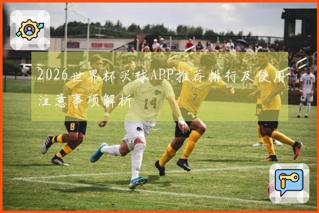 2026世界杯买球APP推荐排行及使用注意事项解析