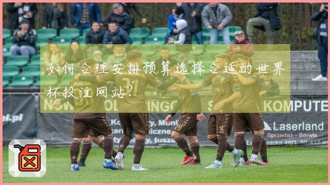 如何合理安排预算选择合适的世界杯投注网站？