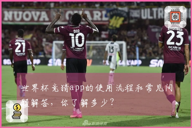 世界杯竞猜app的使用流程和常见问题解答，你了解多少？