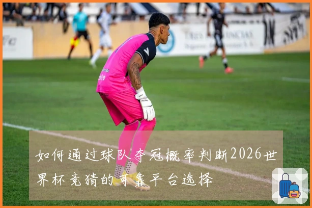 如何通过球队夺冠概率判断2026世界杯竞猜的可靠平台选择