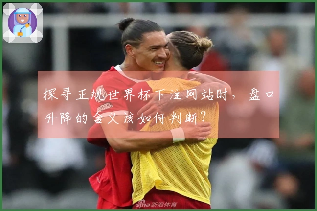 探寻正规世界杯下注网站时,盘口升降的含义该如何判断?