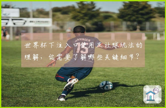 世界杯下注入口使用及让球玩法的理解，你需要了解哪些关键细节？