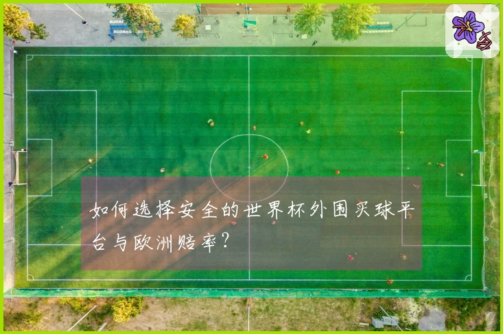 如何选择安全的世界杯外围买球平台与欧洲赔率？