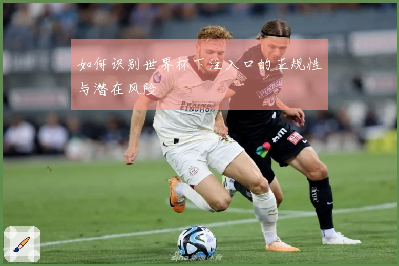 如何识别世界杯下注入口的正规性与潜在风险