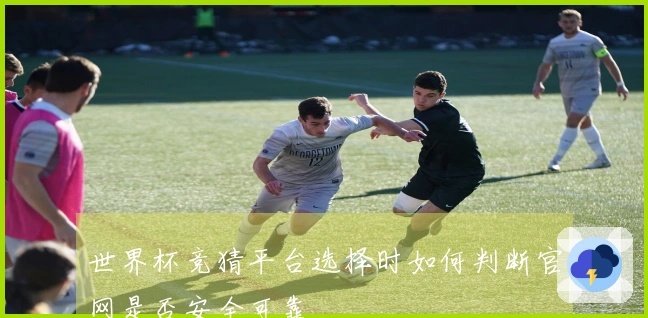 世界杯竞猜平台选择时如何判断官网是否安全可靠