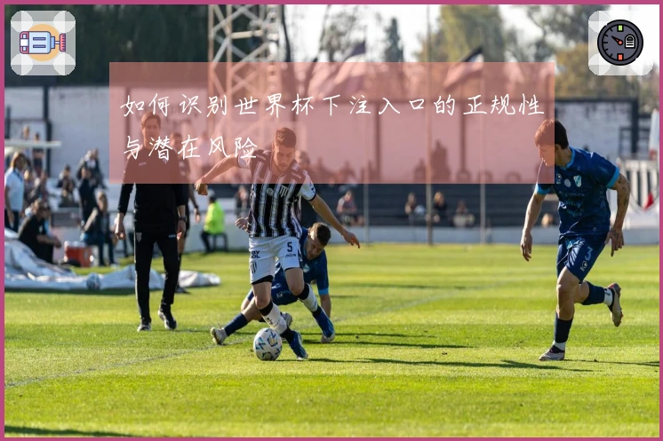 如何识别世界杯下注入口的正规性与潜在风险