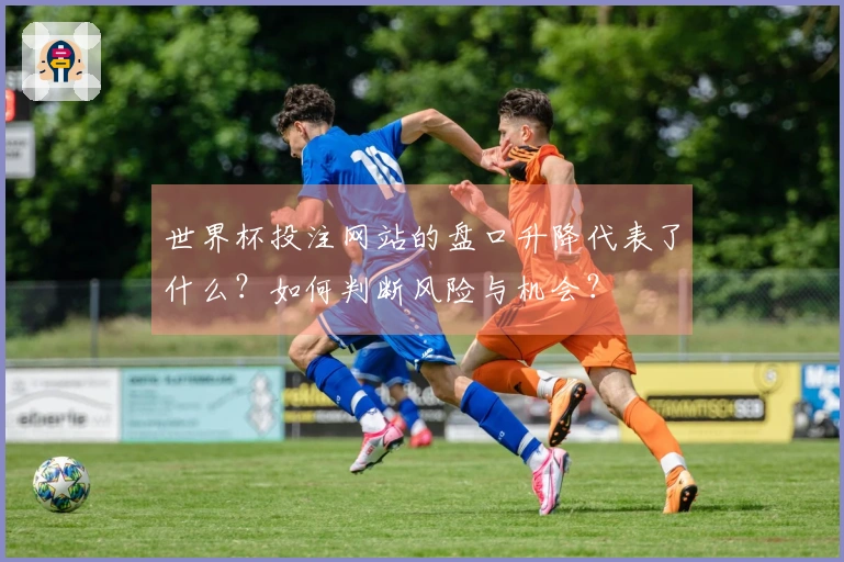 世界杯投注网站的盘口升降代表了什么？如何判断风险与机会？