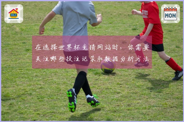 在选择世界杯竞猜网站时，你需要关注哪些投注记录和数据分析方法？