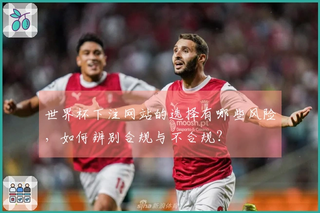 世界杯下注网站的选择有哪些风险,如何辨别合规与不合规?