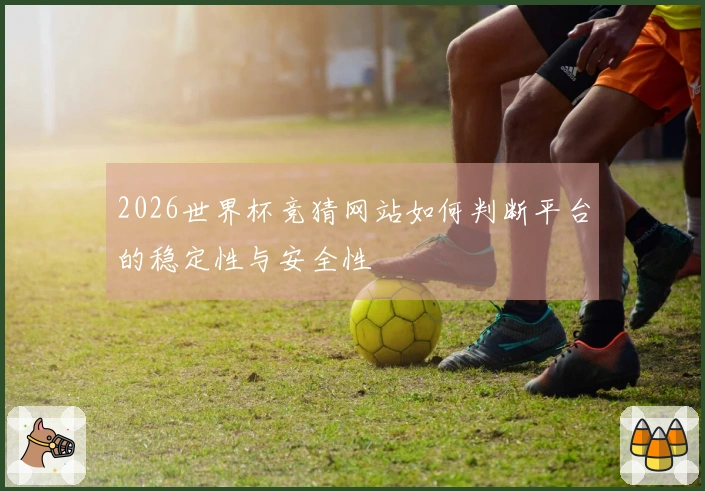 2026世界杯竞猜网站如何判断平台的稳定性与安全性