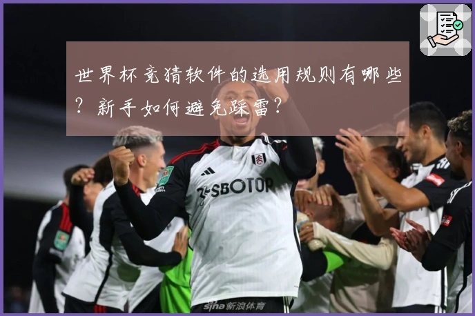 世界杯竞猜软件的选用规则有哪些？新手如何避免踩雷？