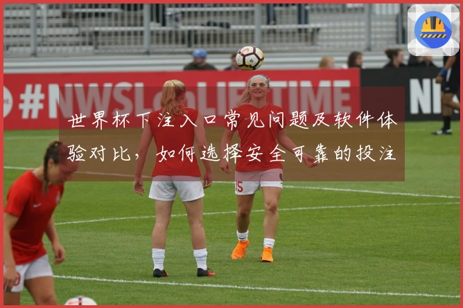 世界杯下注入口常见问题及软件体验对比，如何选择安全可靠的投注渠道