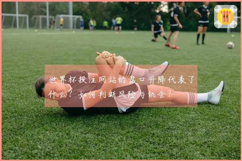 世界杯投注网站的盘口升降代表了什么？如何判断风险与机会？