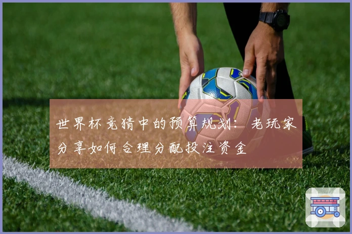 世界杯竞猜中的预算规划：老玩家分享如何合理分配投注资金