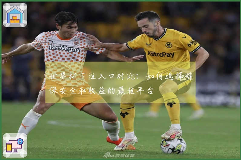 世界杯下注入口对比：如何选择确保安全和收益的最佳平台