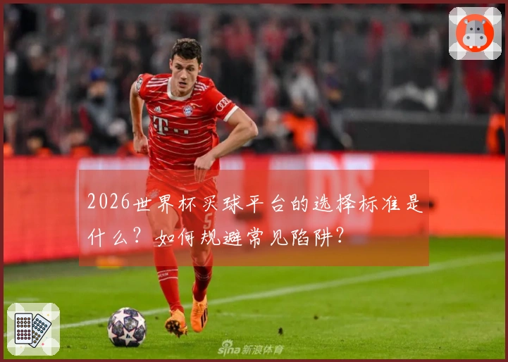 2026世界杯买球平台的选择标准是什么？如何规避常见陷阱？