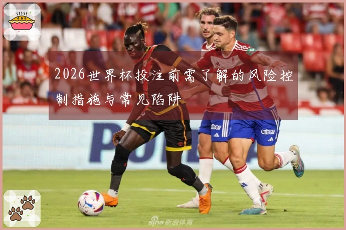 2026世界杯投注前需了解的风险控制措施与常见陷阱
