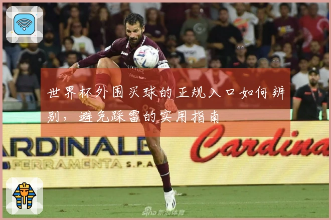 世界杯外围买球的正规入口如何辨别，避免踩雷的实用指南
