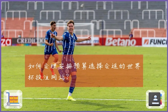 如何合理安排预算选择合适的世界杯投注网站？