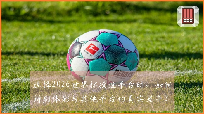选择2026世界杯投注平台时，如何辨别体彩与其他平台的真实差异？