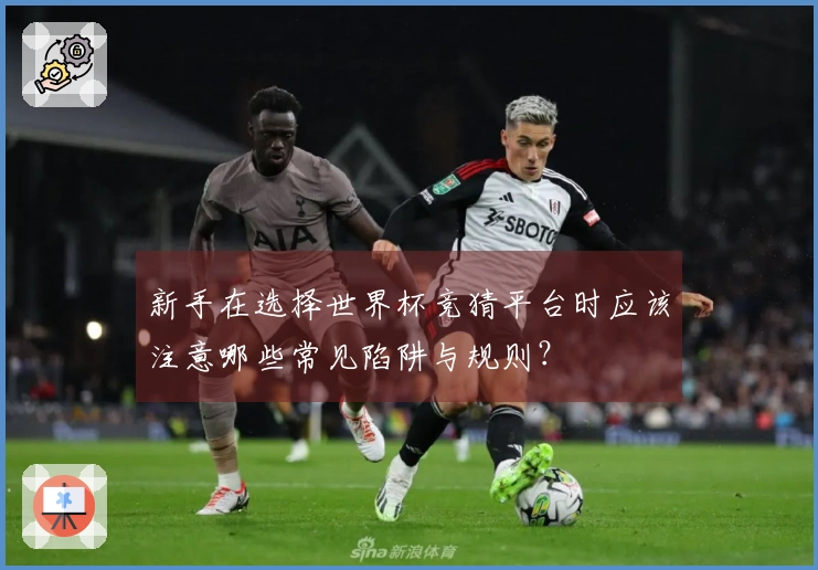 新手在选择世界杯竞猜平台时应该注意哪些常见陷阱与规则？