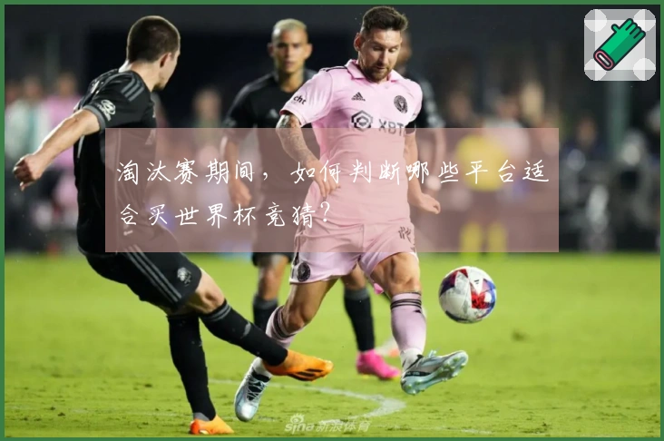 淘汰赛期间，如何判断哪些平台适合买世界杯竞猜？