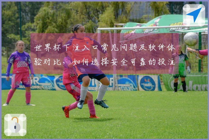 世界杯下注入口常见问题及软件体验对比，如何选择安全可靠的投注渠道