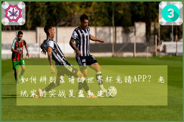 如何辨别靠谱的世界杯竞猜APP？老玩家的实战复盘和建议