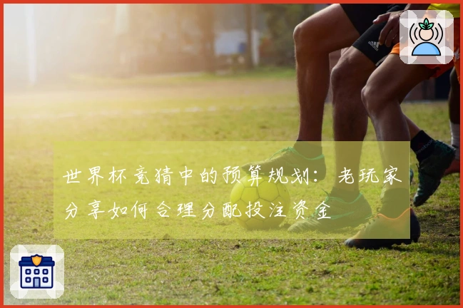 世界杯竞猜中的预算规划：老玩家分享如何合理分配投注资金