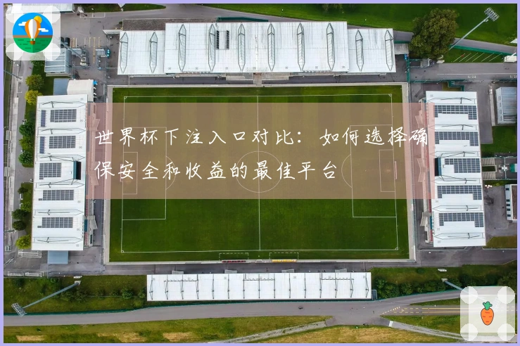 世界杯下注入口对比：如何选择确保安全和收益的最佳平台
