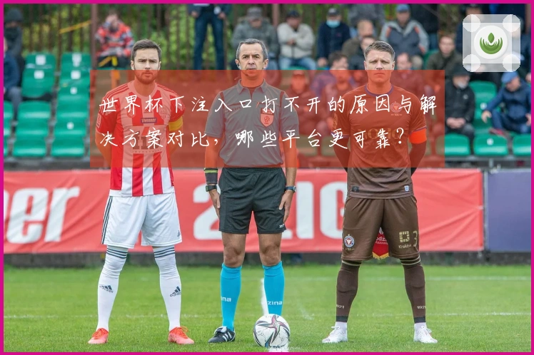 世界杯下注入口打不开的原因与解决方案对比，哪些平台更可靠？