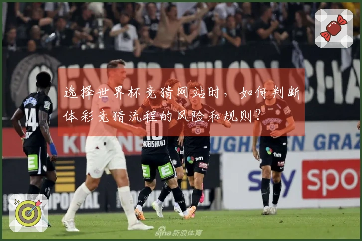选择世界杯竞猜网站时，如何判断体彩竞猜流程的风险和规则？
