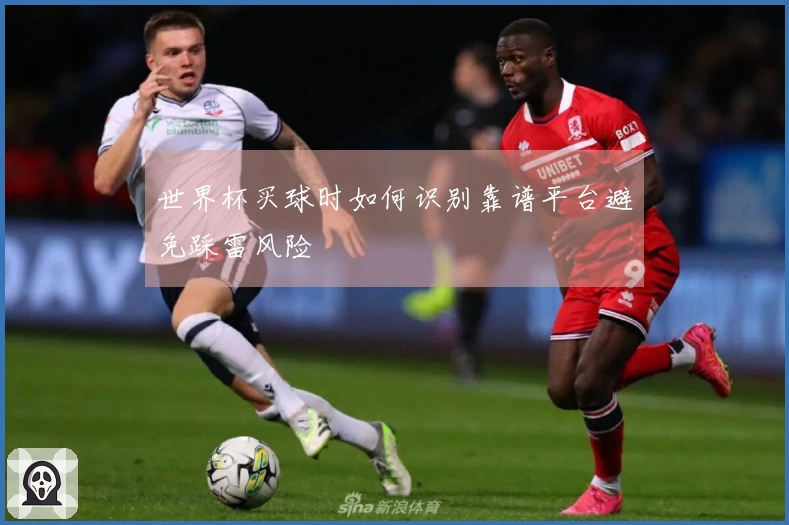 世界杯买球时如何识别靠谱平台避免踩雷风险